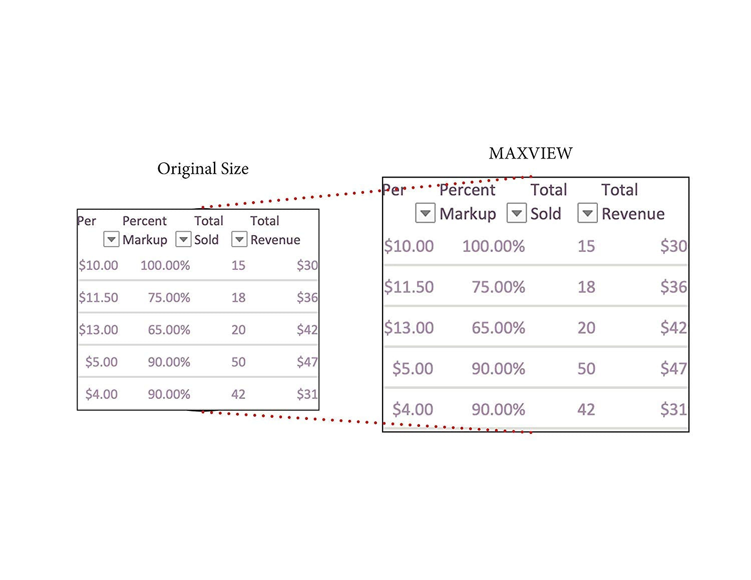 Kantek Maxview Lcd Monitor Magnifier For 21.5 Inch And 22 Inch Widescreen Monitors (Measured Diagonally) (Mag22Wl)