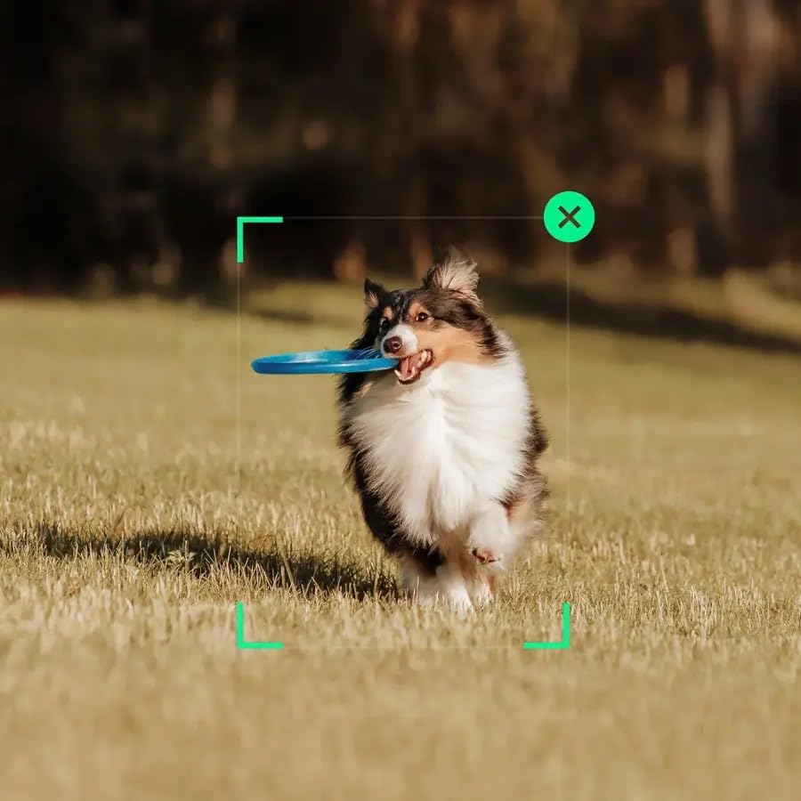 Dji Osmo Mobile Gimbal Stabilizer For Smartphone, 3-Axis Phone Gimbal For Iphone, Andriod, Shotguides, Activetrack 6.0, Portable