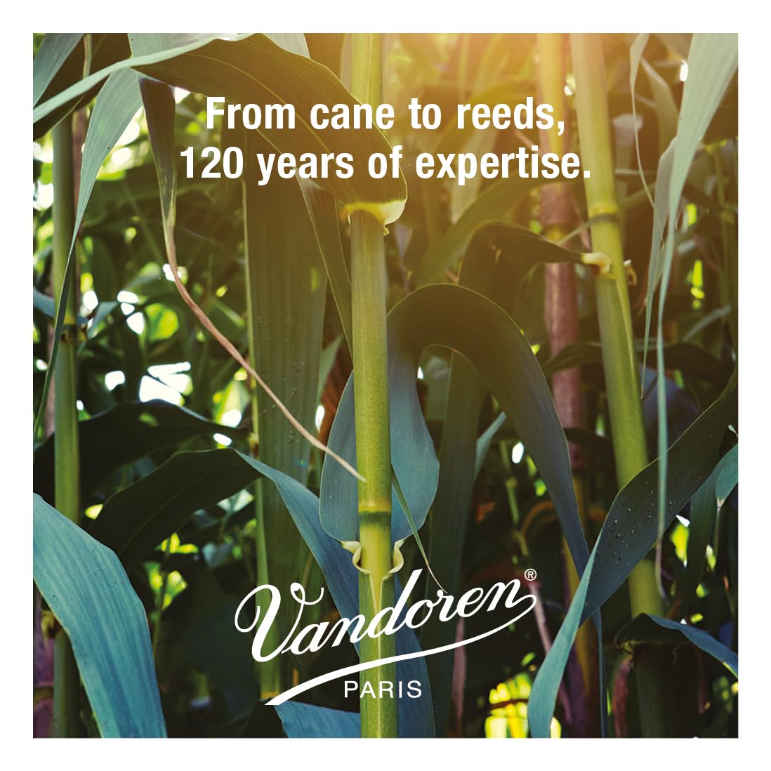 Vandoren Cr1925 Bb Clarinet V.12 Reeds Strength 2.5; Box Of 10