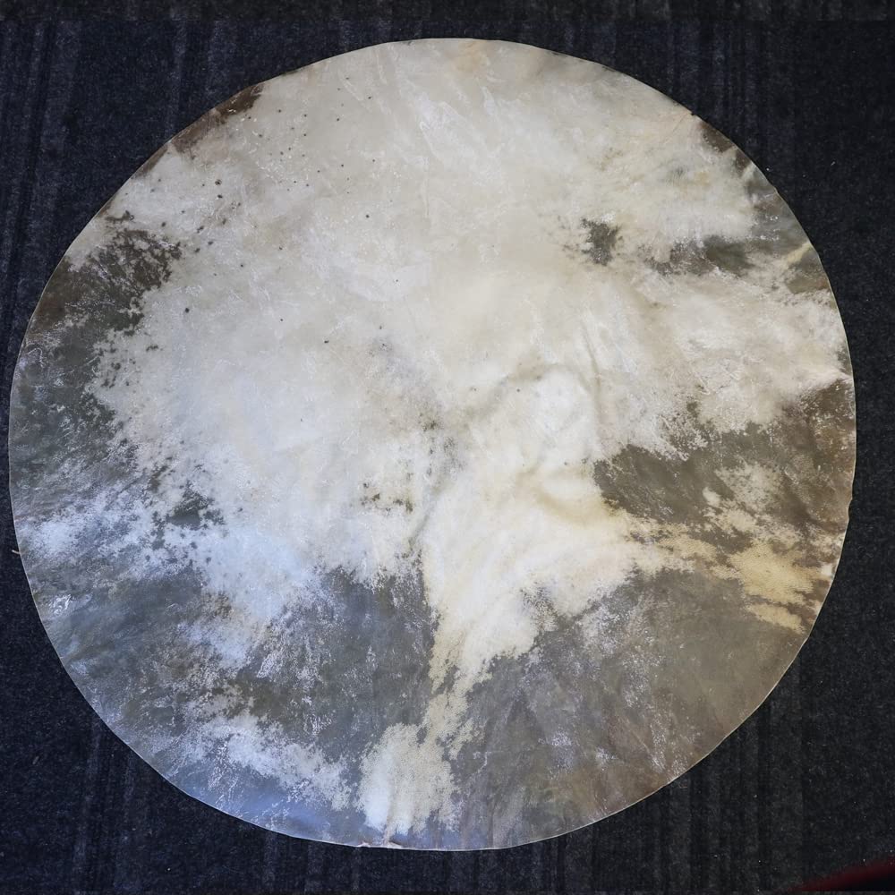 Zaza Percussion   Goatskin For Darbuka Doumbek Drum, Goat Skin For Djembe Natural Flat Round Goat Skin Head  10''