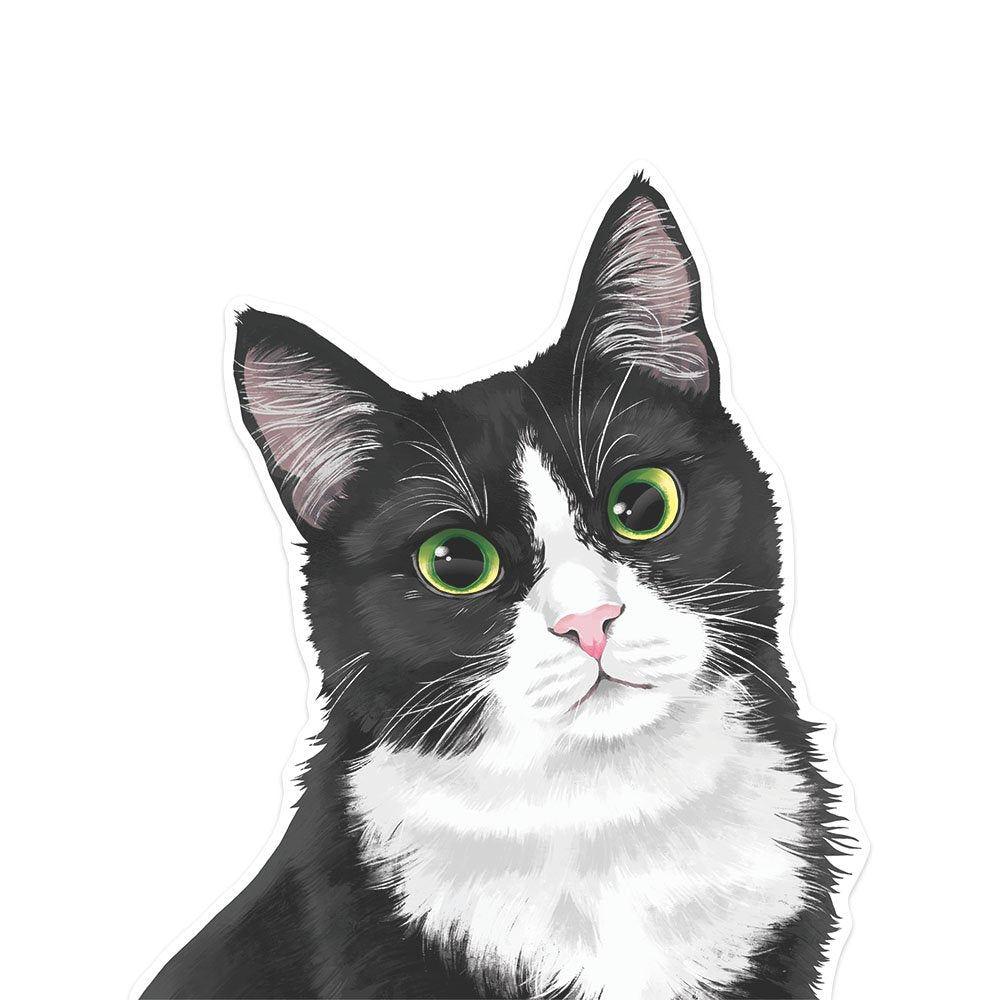Fincibo 5 X 5 Inch Cute Black White Tuxedo Cat Removable Vinyl Decal Stickers For Ipad Macbook Laptop (Or Any Flat Surface)