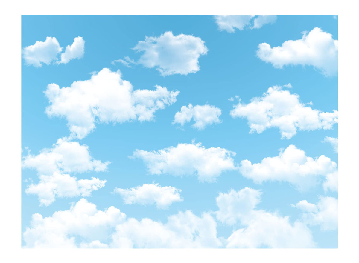 Allenjoy 8X6Ft Blue Sky White Cloud Backdrop For Newborn Spring Portrait Photography Pictures Kids Children World Travel Aviator