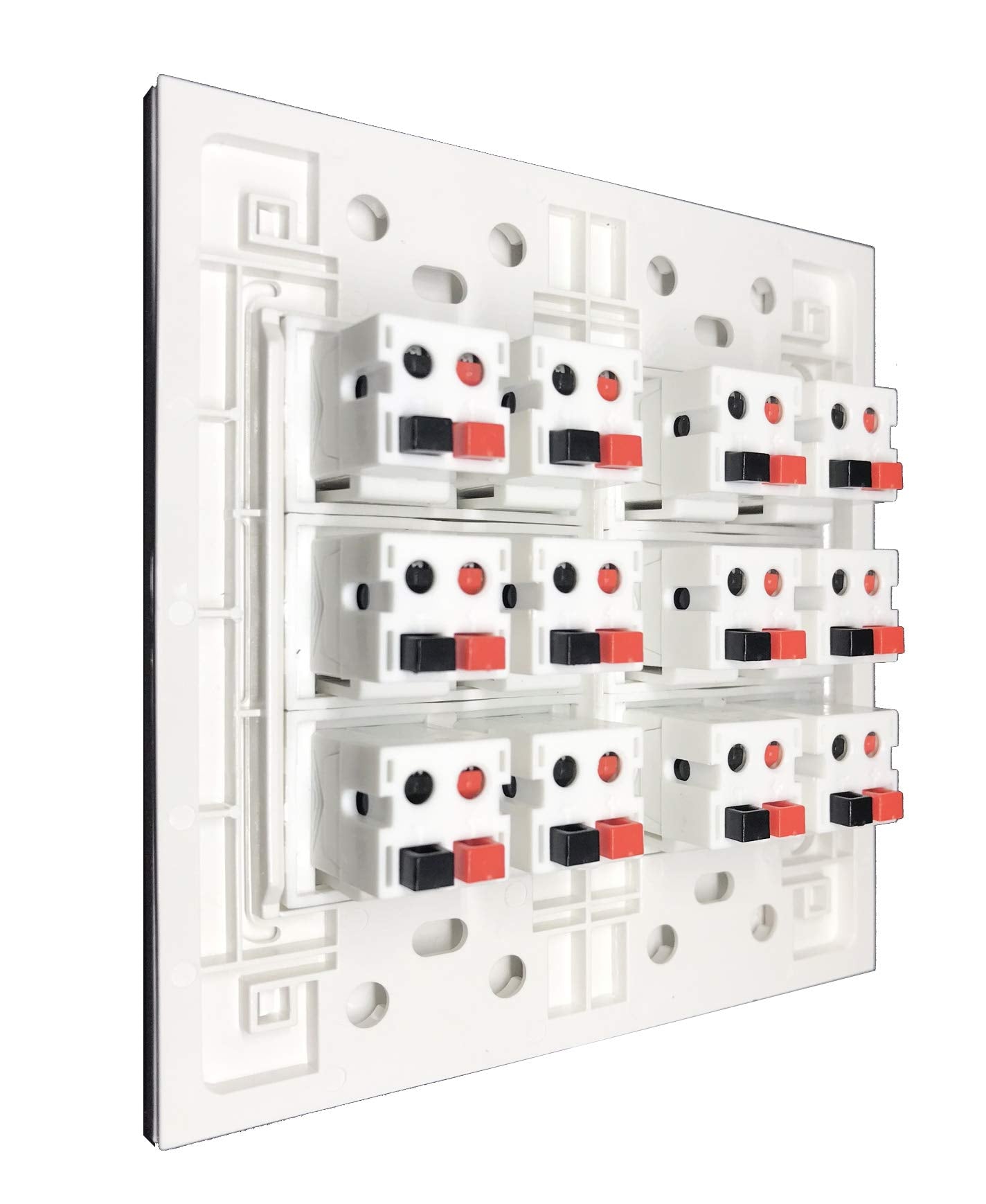 Diytech Premium 12 Speaker Wall Plate, Speaker Plug, Supports 12 Speaker Configurations, Speaker Port For Wall Speaker Wire, Spe