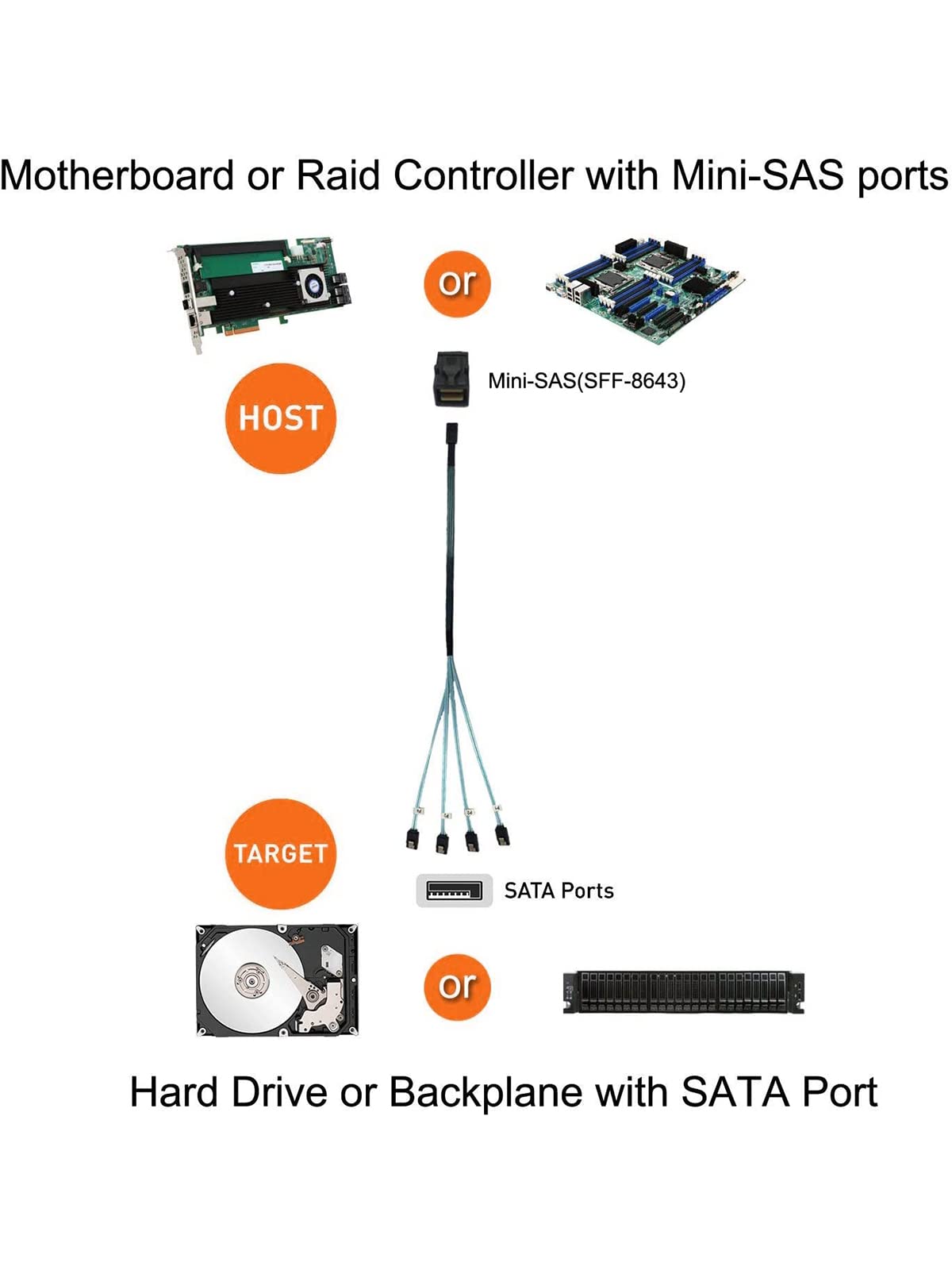 Cablecreation Internal Hd Mini Sas Cable 0.5M / 1.6Ft, Internal Hd Mini Sas (Sff 8643 Host)   4X Sata (Target) Cable, Sff 8643 T