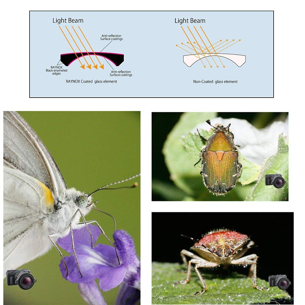 Raynox Dcr-250 2.5X Super Macro Lens Universal Snap-On Mount For 52Mm To 67Mm + Lens Optic Pen Cleaner + 1 Vcc113 Micro-Fiber Cl