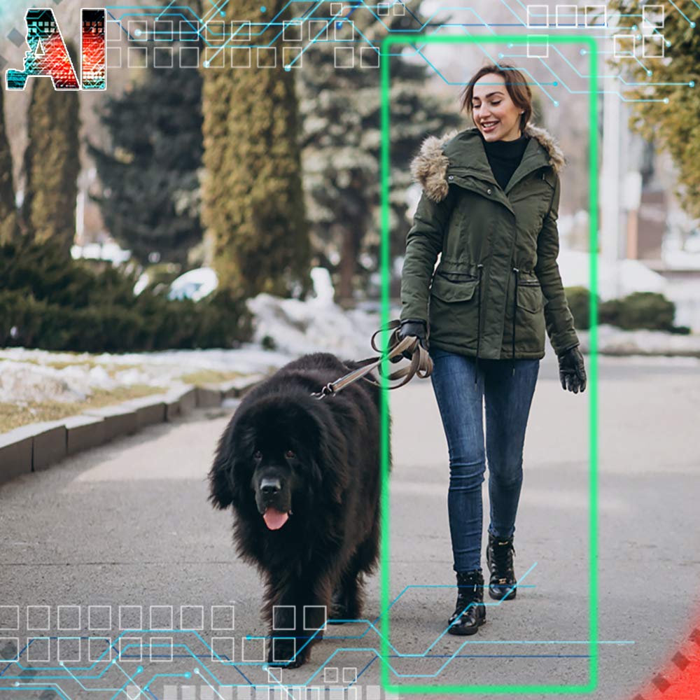 Gw Security 8 Channel 4K Nvr 5Mp H.265 Ip Surveillance Security Camera System With 4-Piece Super Hd 1920P Weatherproof Video & A