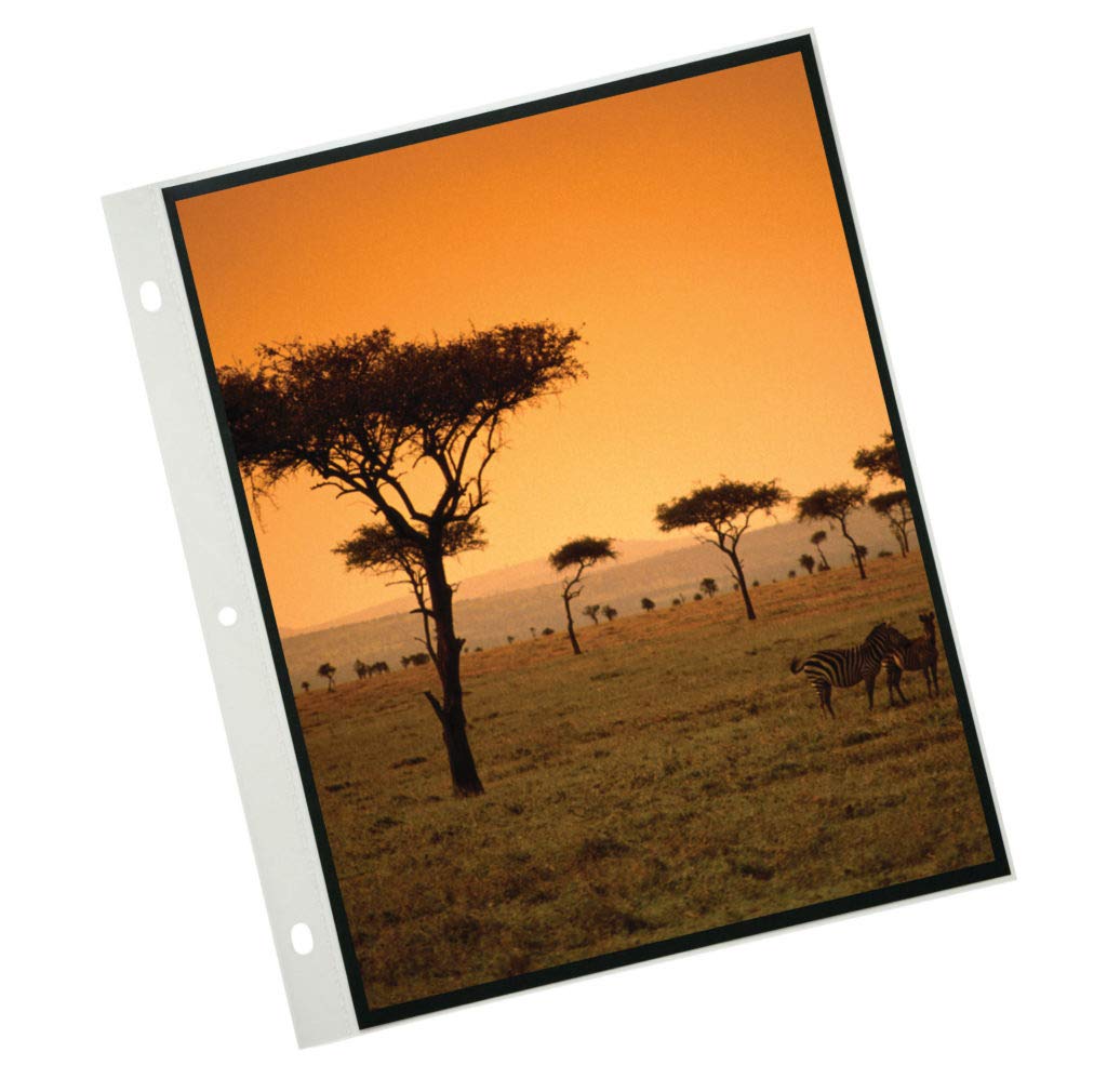 Profolio By Itoya, Art Profolio Polyglass, 10 Pack Multi Ring Binder Refill Pages   Portrait, 11 X 14 Inches