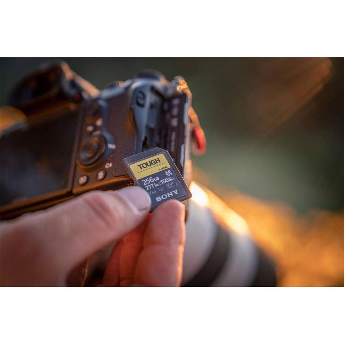 Sony TOUGH M series SDXC UHS II Card 64GB, V60, CL10, U3, Max R277MB/S, W150MB/S (SF M64T/T1)