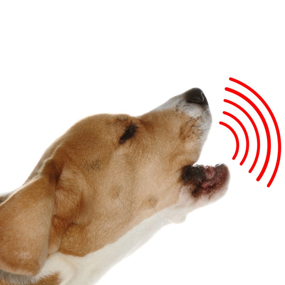 U.S. Patrol Jb5322 Alarm Security Bar Extends From 29 To 43