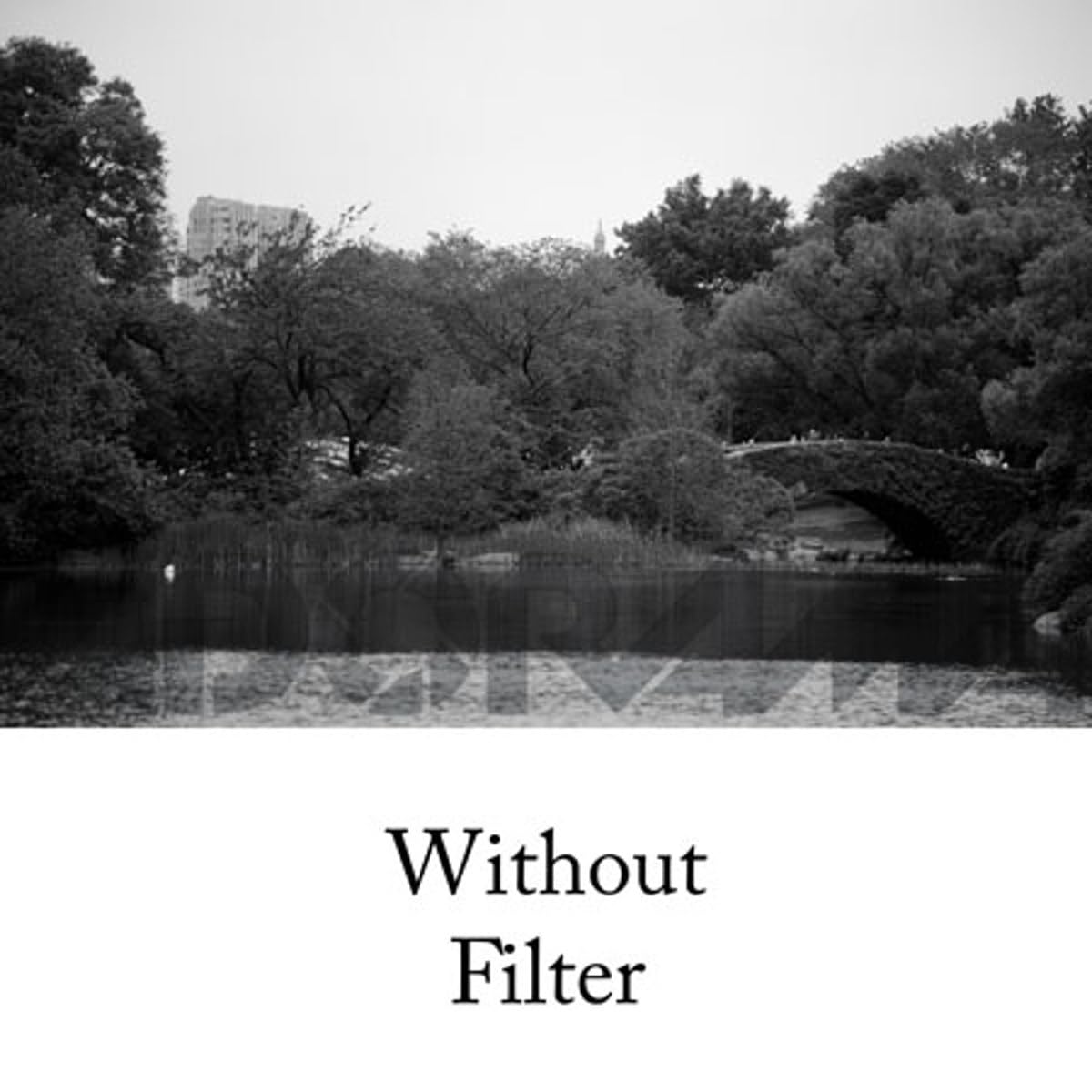 Tiffen 52Mm 21 Filter (Orange)