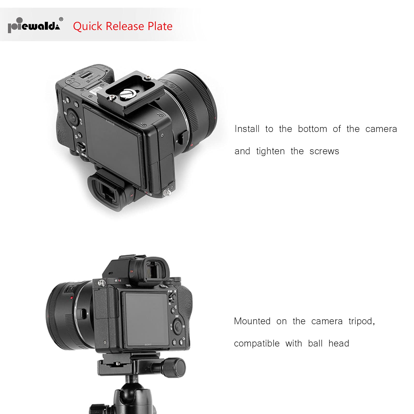 Niewalda Universal Tripod Quick Release Plate, Quick Release Plate, Arca Swiss Plate With 1/4 Inch Slotted Screw, C Ring/D Ring Screw, 1/4' 3/8' Screw, For Dslr Camera Tripod Ball Head(Pu 50)