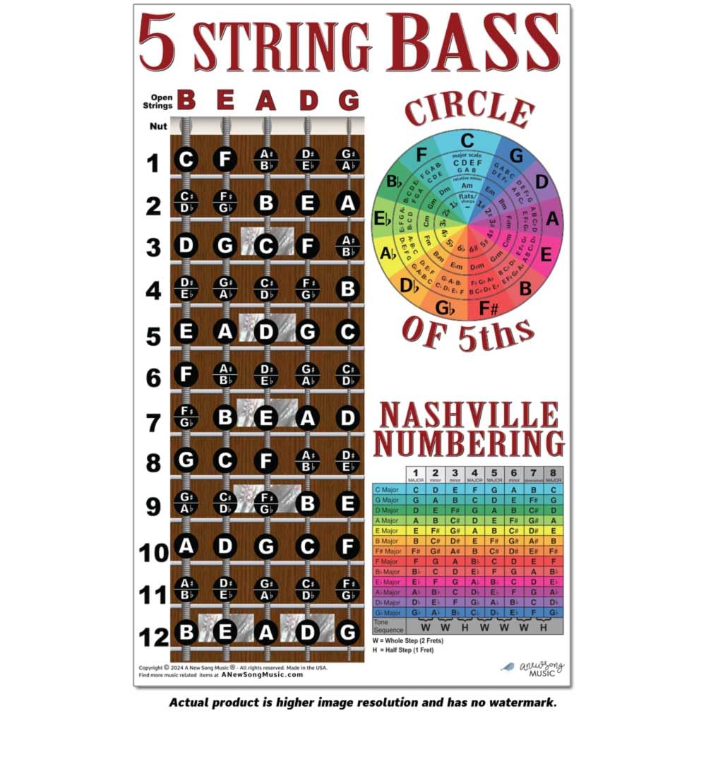 5 String Bass Fretboard Poster - Nashville Numbering System, Circle Of 5Ths, Notes Instructional Chart | A New Song Music | 11X1