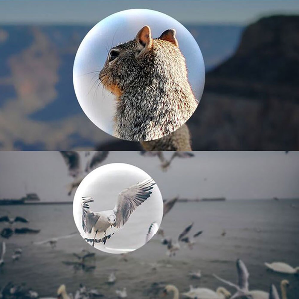 Mini Compact Lightweight 8X21 Small Binoculars For Concert Opera Sports Game Outdoors Hiking Travel Kids Bird Watching Christmas