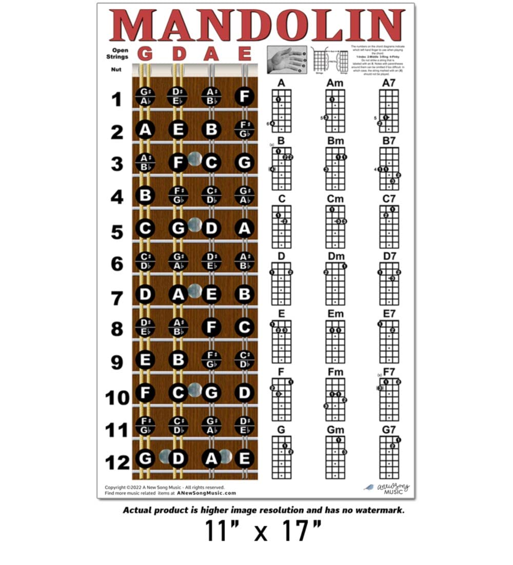 Mandolin Classic Style Easy Chord & Fretboard Note Chart Instructional Poster For Beginners Chords & Notes A New Song Music 11X1