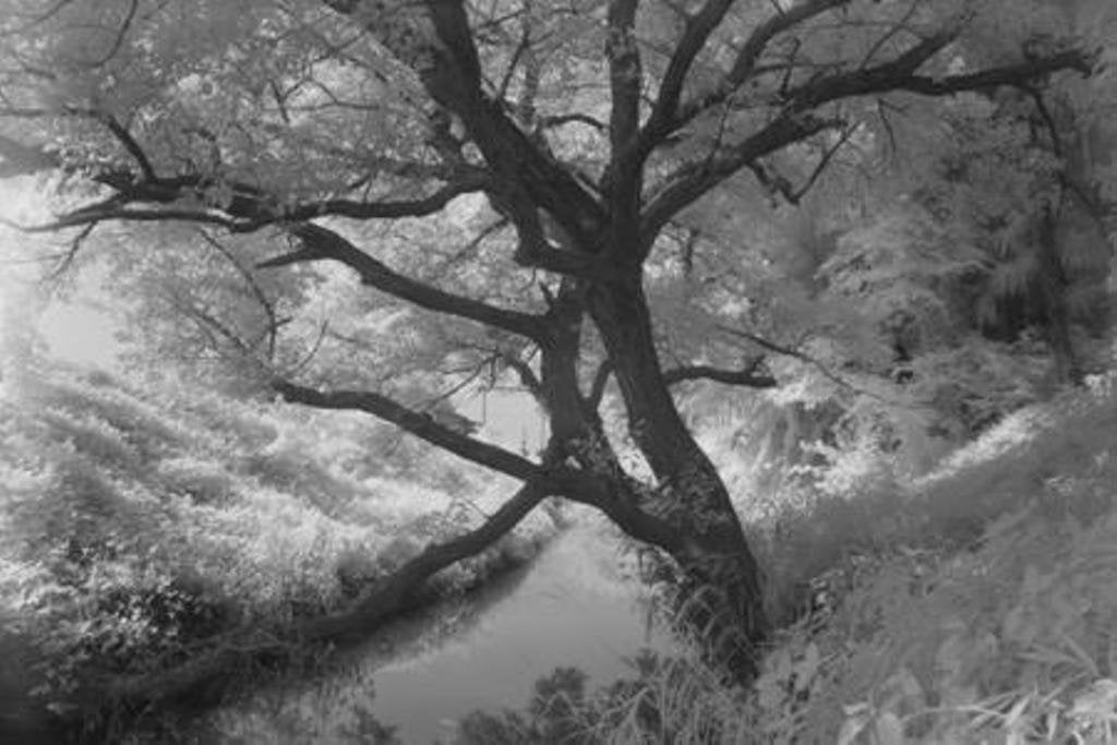 Hoya 67Mm Infrared R72 Filter (Y1Ir72067)