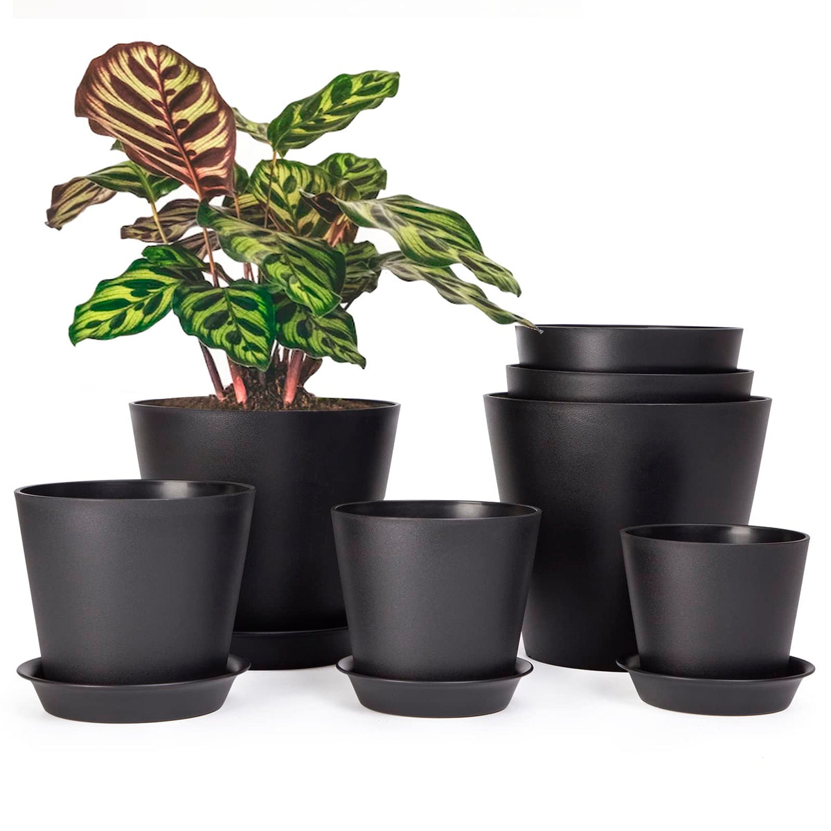 Ladovita 7 Pack Plastic Plant Pots Indoor, 7656555454 Inch Modern Planters For Plants, Flower Pots With Drainage Holes And Trays