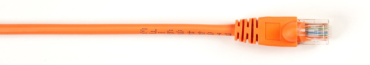 Black Box Cat5E 100 Mhz Molded Snagless Patch Cable Utp Cm Pvc Or 5Ft