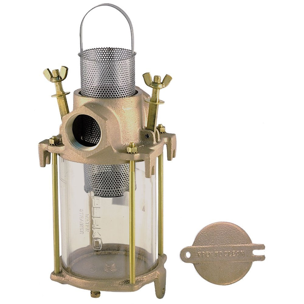 2'' Intake Water Strainer,WBEEAB001HB72NY