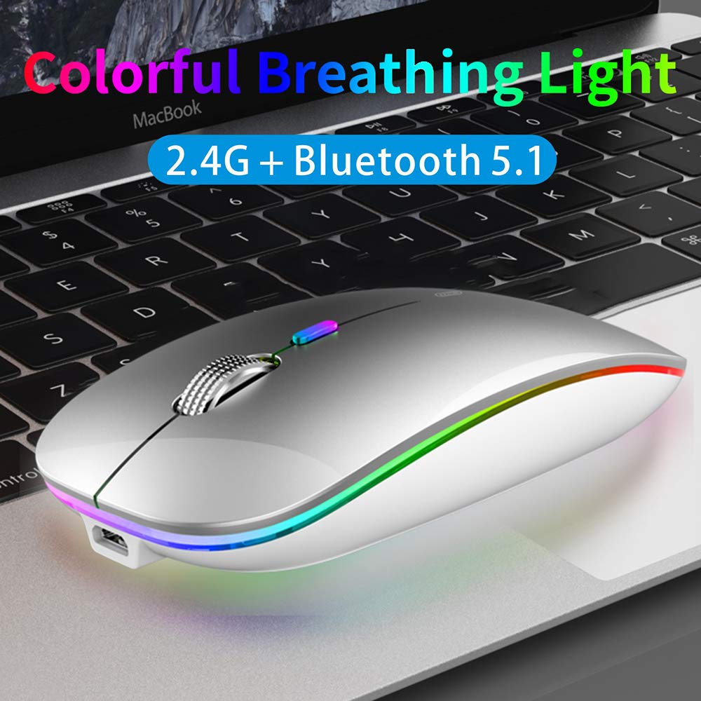 Tenmos Wireless Bluetooth Mouse, Led Slim (Bluetooth 5.1 + Usb) 2.4Ghz Rechargeable Silent Bluetooth Wireless Mouse With Type C Adapter For Laptop/Macbook/Ipad Os 13 And Above (Silver)