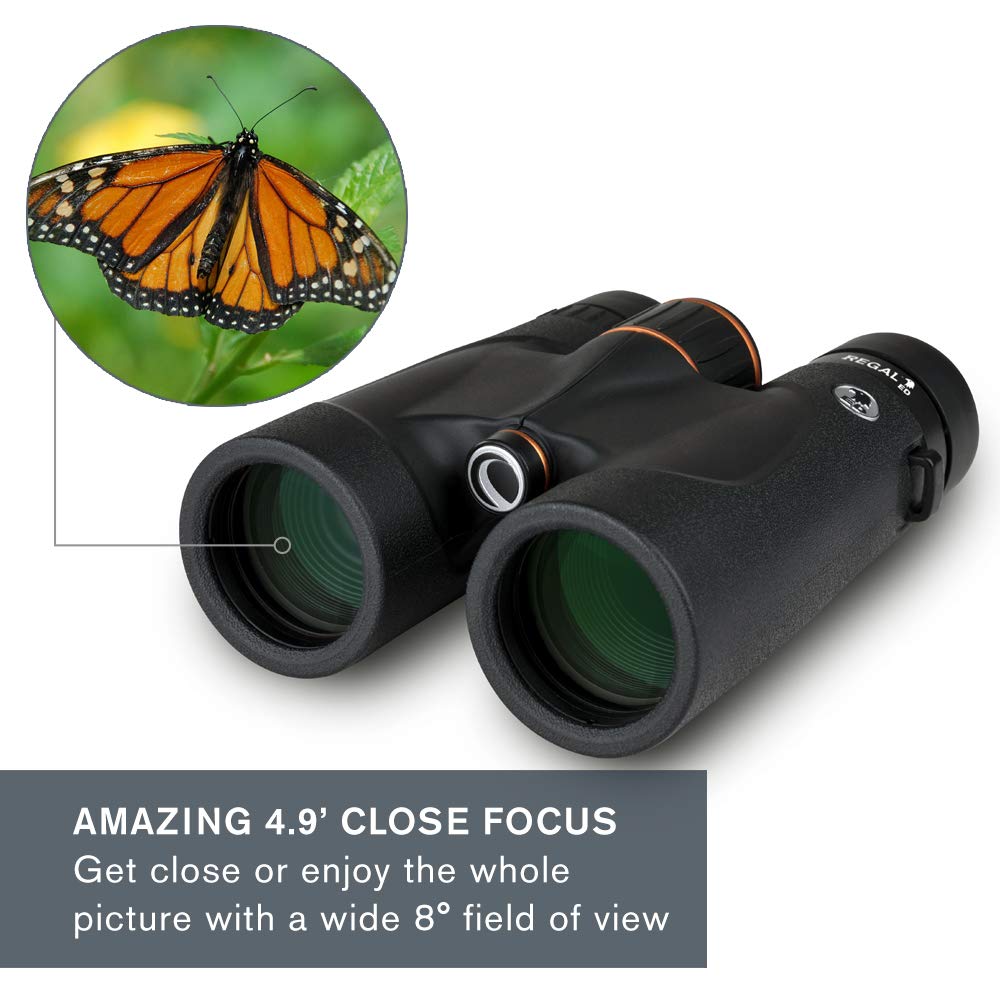 Celestron   Regal Ed 10X42 Binocular   Ed Binoculars For Hunting, Birding And Outdoor Actvities   Phase And Dielectric Coated Ba