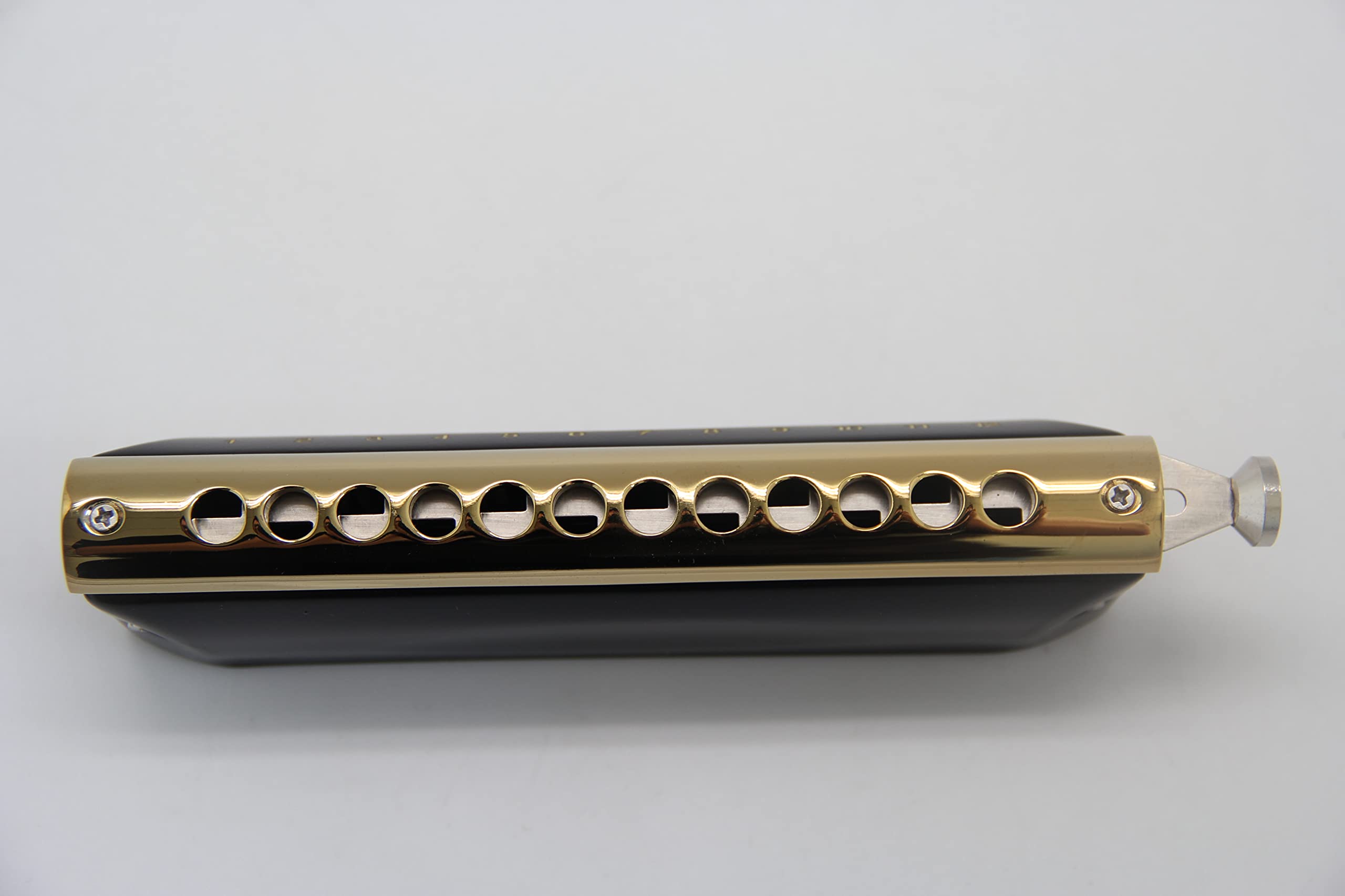 East Top Chromatic Harmonica Key Of C, 12 Holes 48 Tones Chromatic Mouth Organ Harmonica For Adults, Professionals And Students