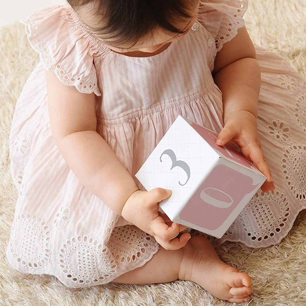 Baby Aspen My First Milestone Princess Age Blocks | Baby Picture Props For Photo Sharing The First Year