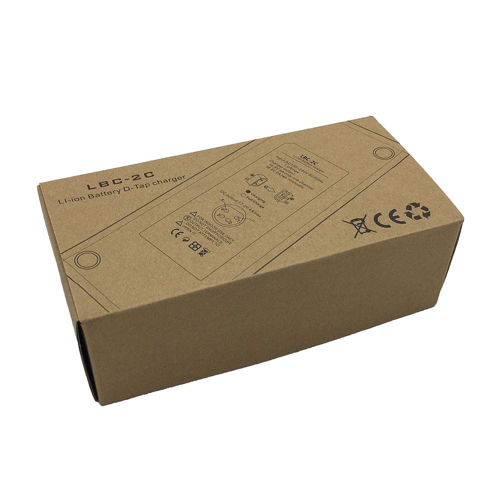 Reytric Dual D Tap (P Tap) Travel Charger Compatible Sony V Mount/V Lock And Anton Bauer Gold Mount Batteries With 2 Prong Power