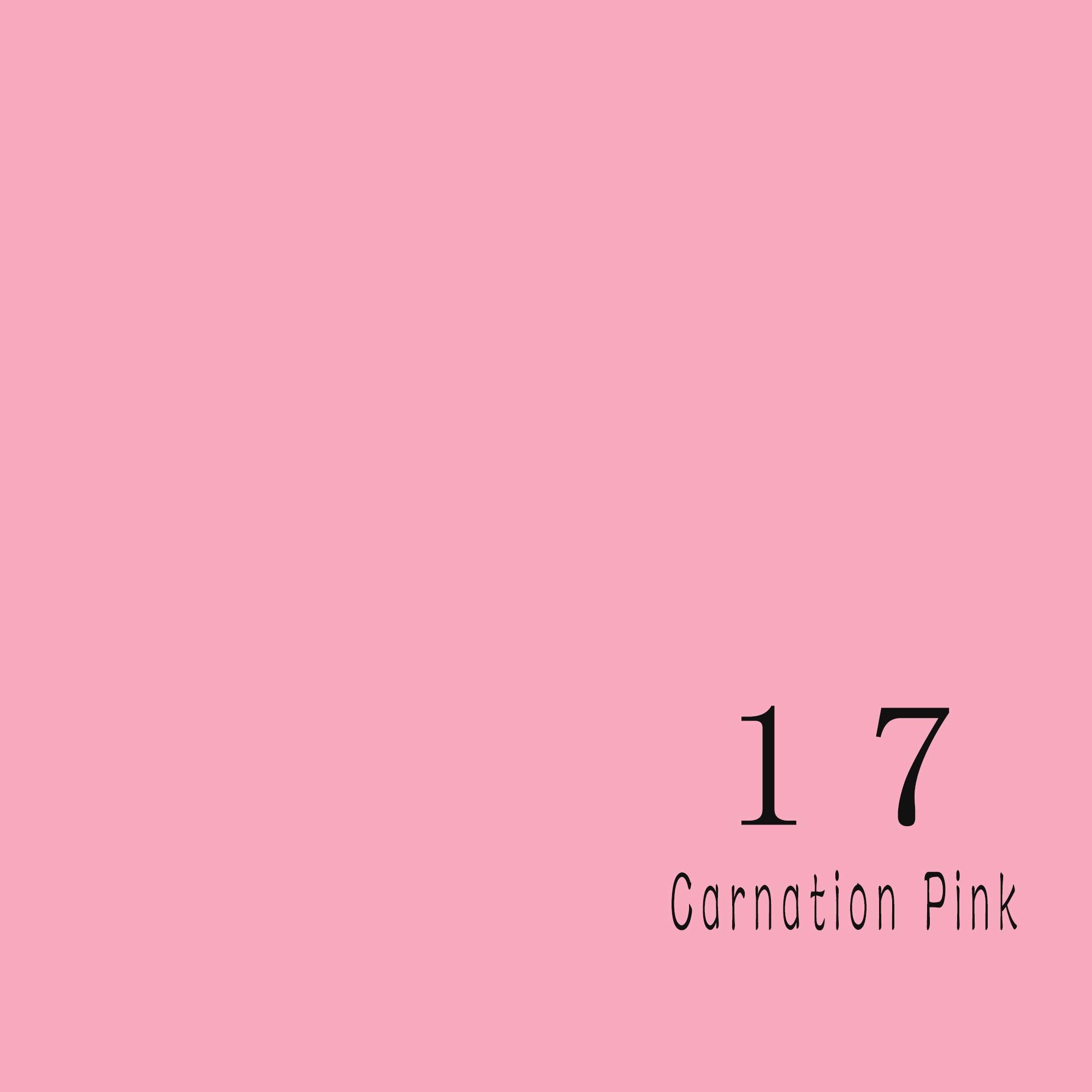 Huamei Seamless Photography Background Paper, Photo Backdrop Paper (4.4X16 Feet, Carnation Pink)