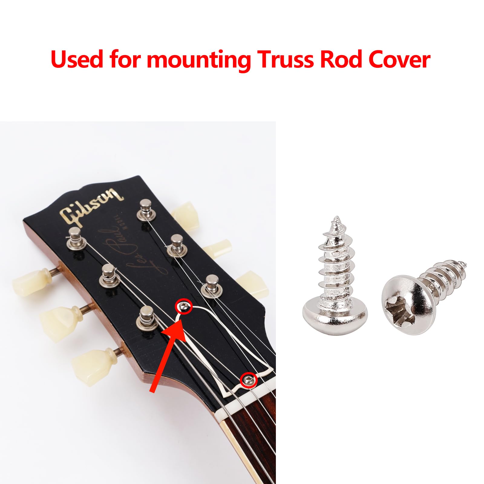 Banworks Stainless Steel American #3 X 1/4 Guitar Truss Rod Cover Screws Bell Shaped Truss Rod Cover Screws For Usa Gibson Les P