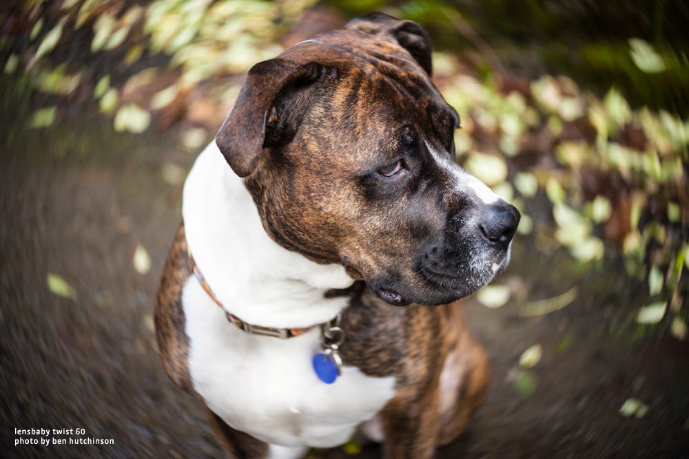 Lensbaby Twist 60 Optic