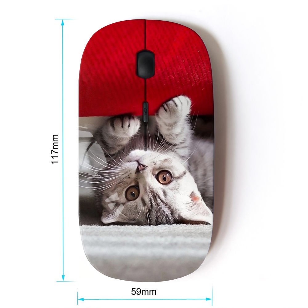 Koolmouse [ Optical 2.4G Wireless Mouse [ Cute American Kitten ]