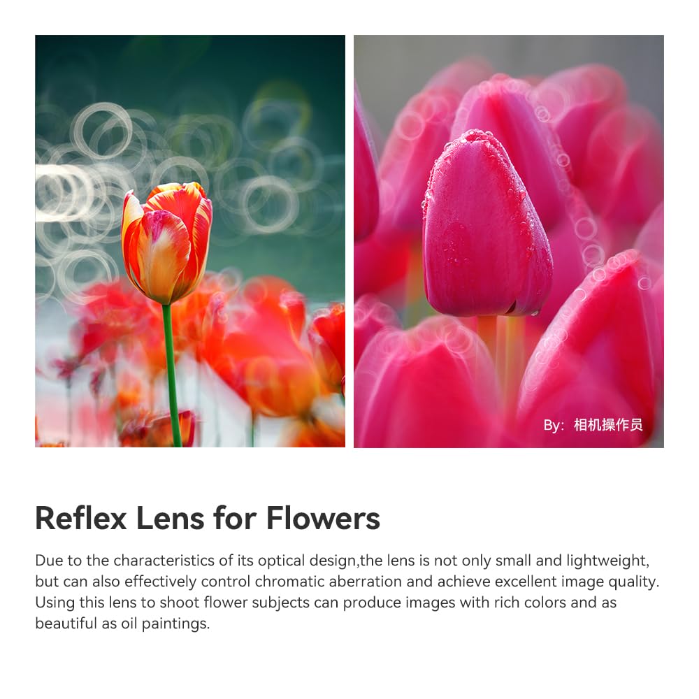 Ttaritsan 250Mm F5.6 Reflex Lens Full Frame Doughnut Bokeh Camera Lense Telephoto Lens Compatible With M42 Mount Camera Lens