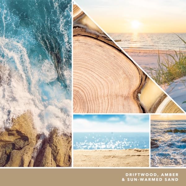 Yankee Candle Amber & Sandalwood Electric Home Fragrance Scent Plug Refill (Pack Of 4)