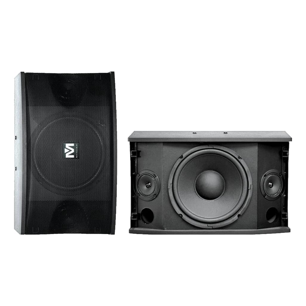 Better Music Builder Cs 500 Pro 450 Watts Karaoke Speaker (Pair), Black