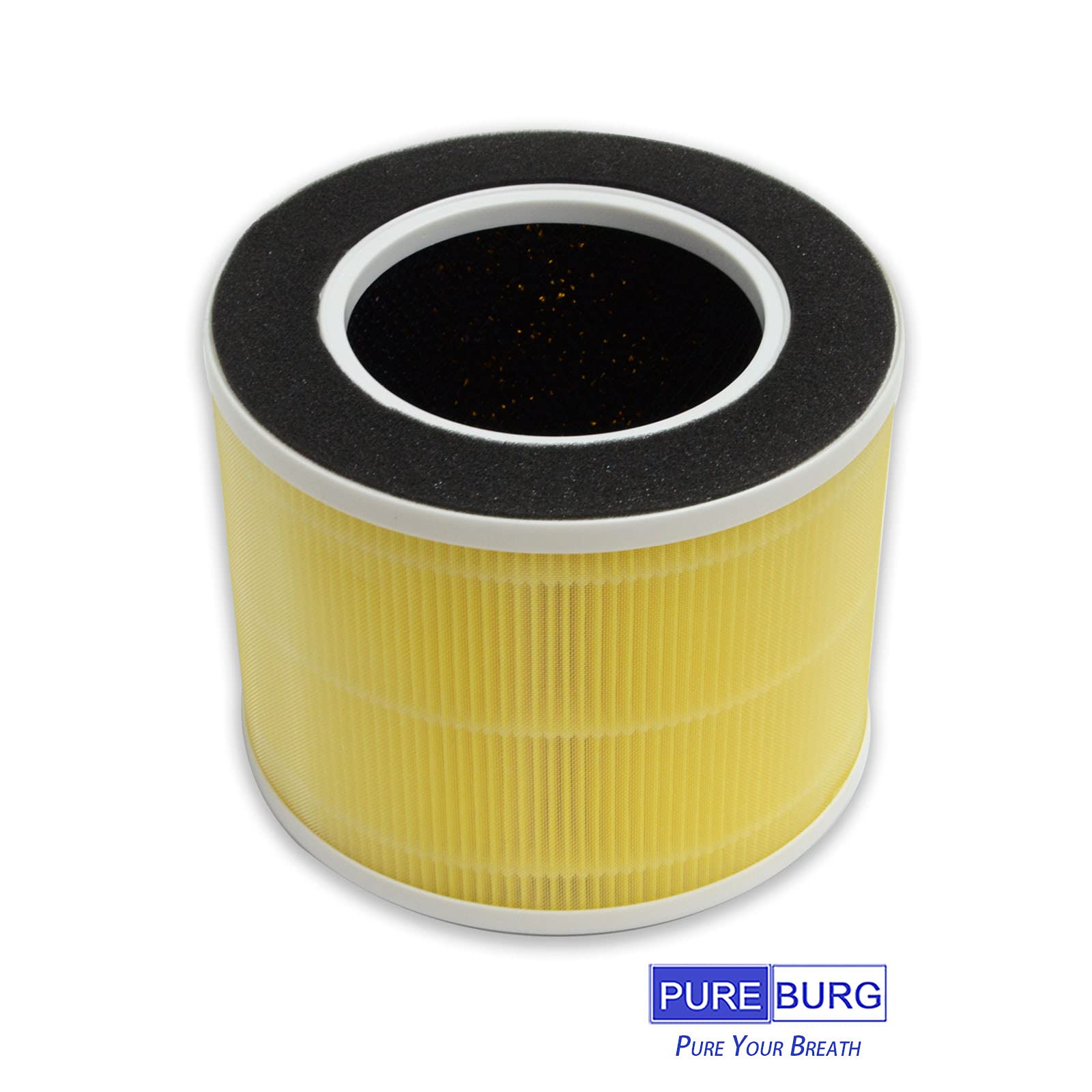 Pureburg Rp Ap088 Replacement True Hepa Filters Compatible With Renpho Rp Ap088 F1 Fits Rp Ap088W Rp Ap088B Medium Room Air Puri