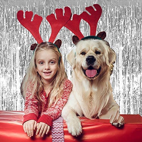 Toniful 3Pcs Silver Door Streamers,Silver Photo Booth Backdrop Metallic Streamers Silver Foil Fringe Curtains For Birthday,Chris