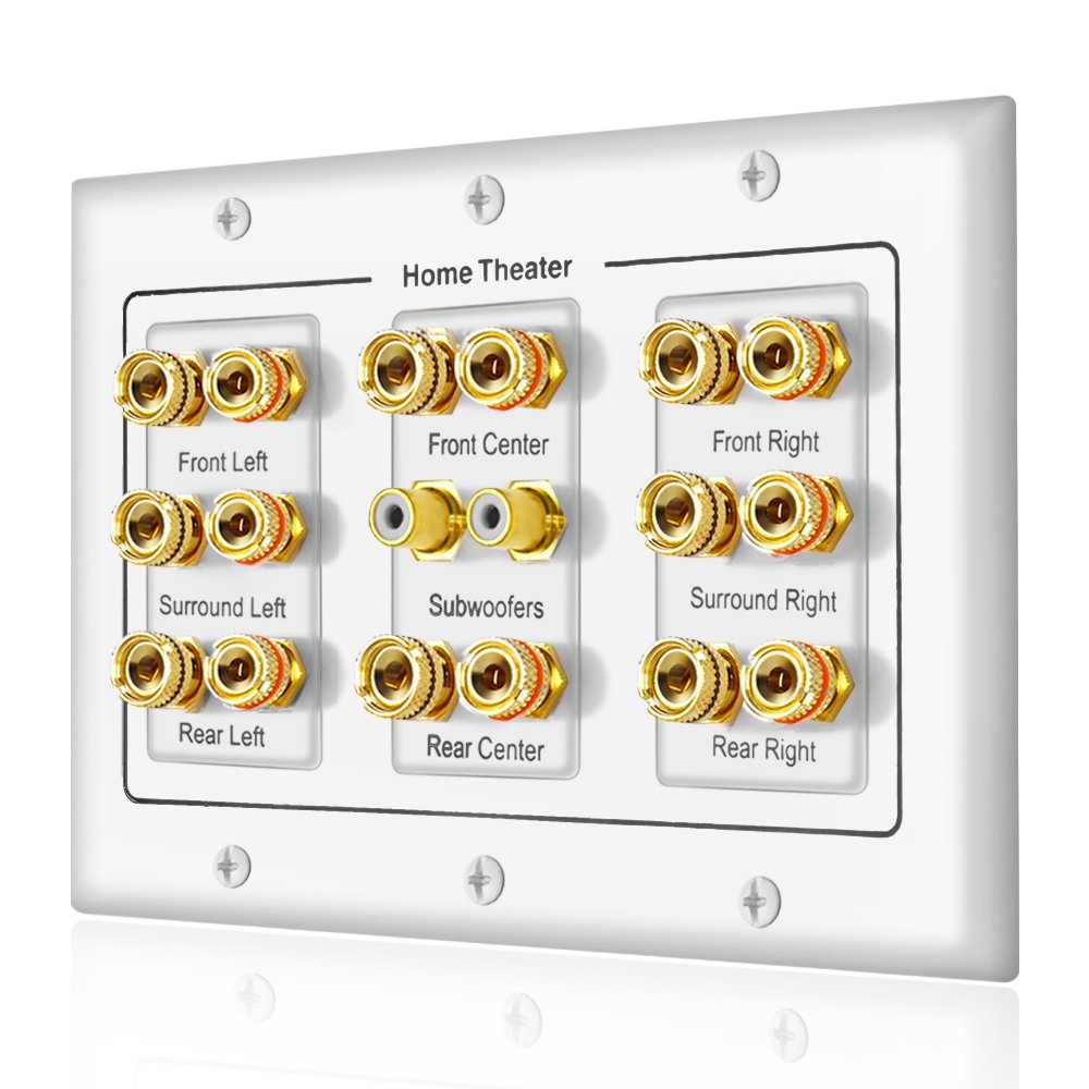 ICESPRING 5 6 7.1/7.2 or 8.1/8.2 One or Two Subwoofer Compatible 16 Banana Post and 2 RCA Speaker Wall Plate for Home Theater Au