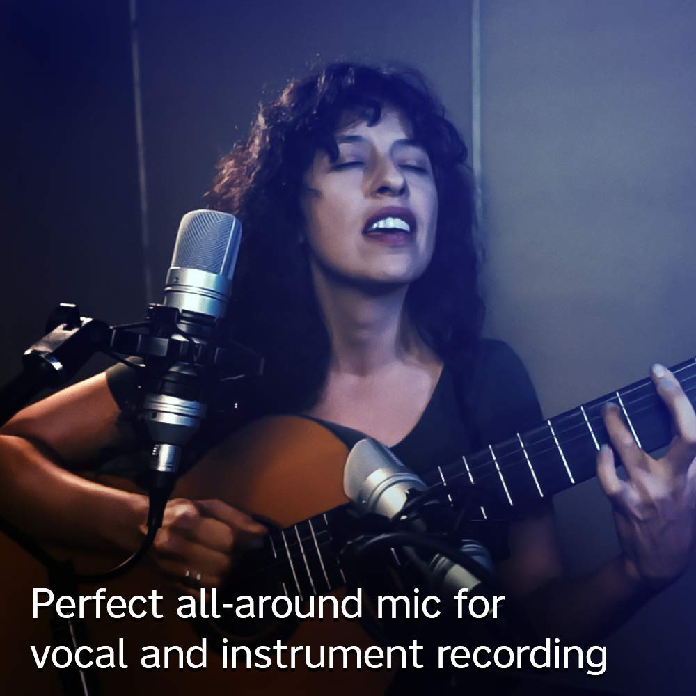 Tascam Tm 80 Large Diaphagm Condenser Microphone,Silver