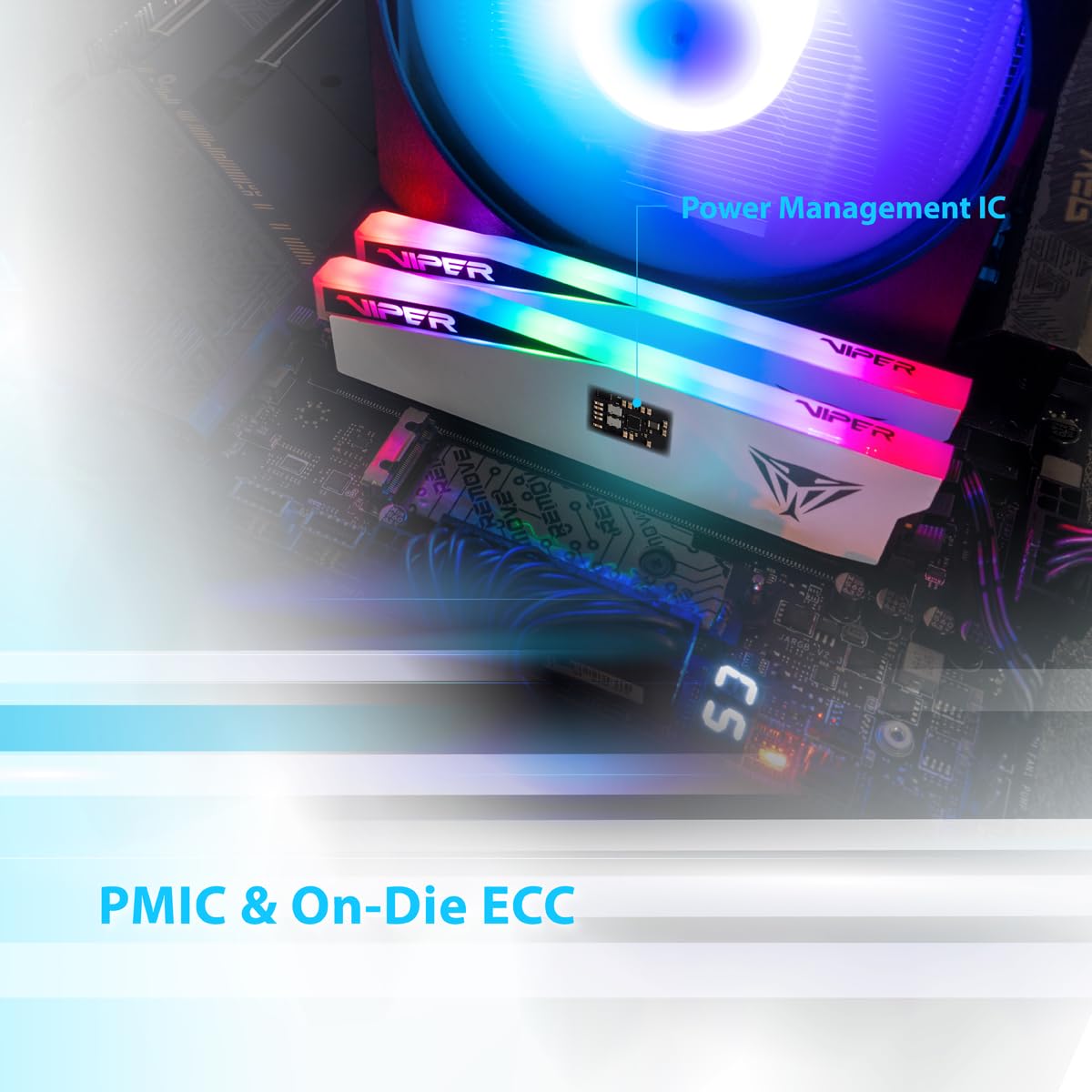 Patriot Viper Elite 5 Rgb Ddr5 32Gb (1 X 32Gb) 5600Mt/S Module   Pver532G56C38W