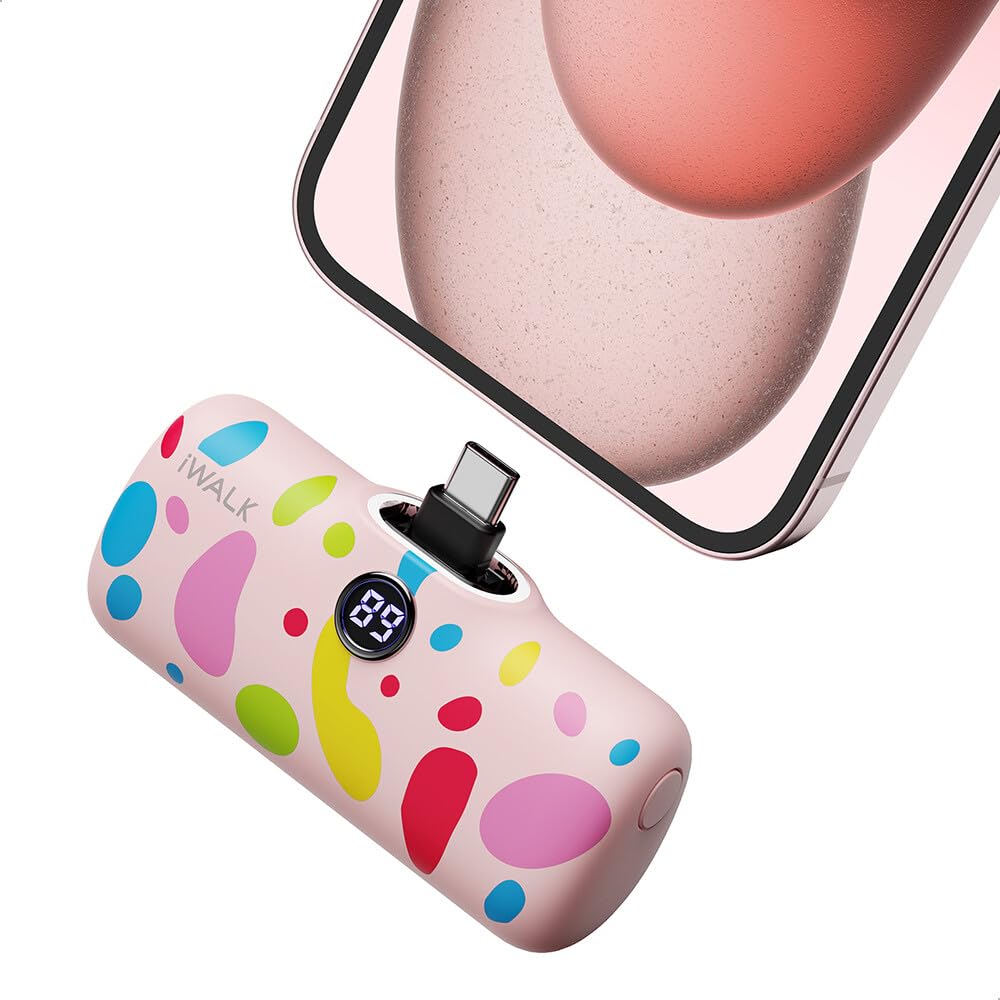 iWALK USB-C Portable Charger with Colorful Pattern, 20W PD Fast Charging 4800mAh Small Power Bank with LED Display, Compatible w