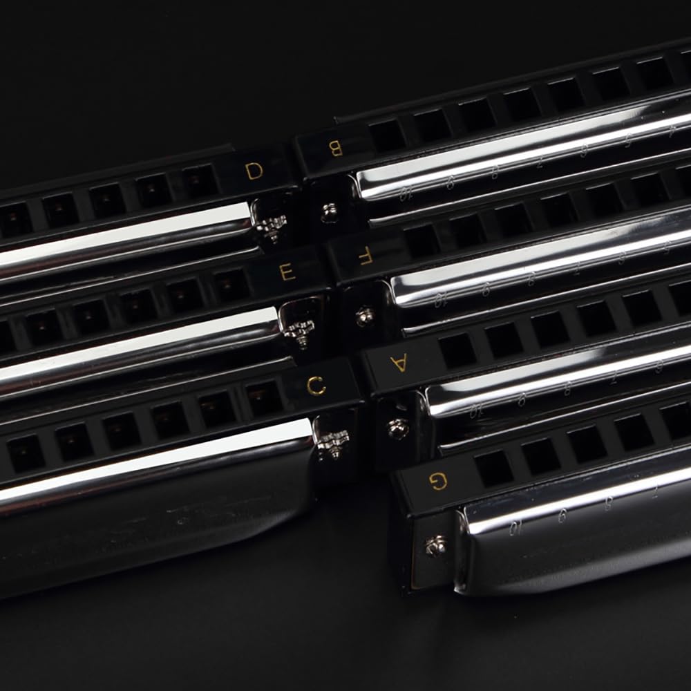 Swan Harmonica 10 Hole Blues Harmonica Set 7/12 Tone Set Suit Gift Box Mouth Organ Harmonica For Beginners Adluts (12 Tone Set)