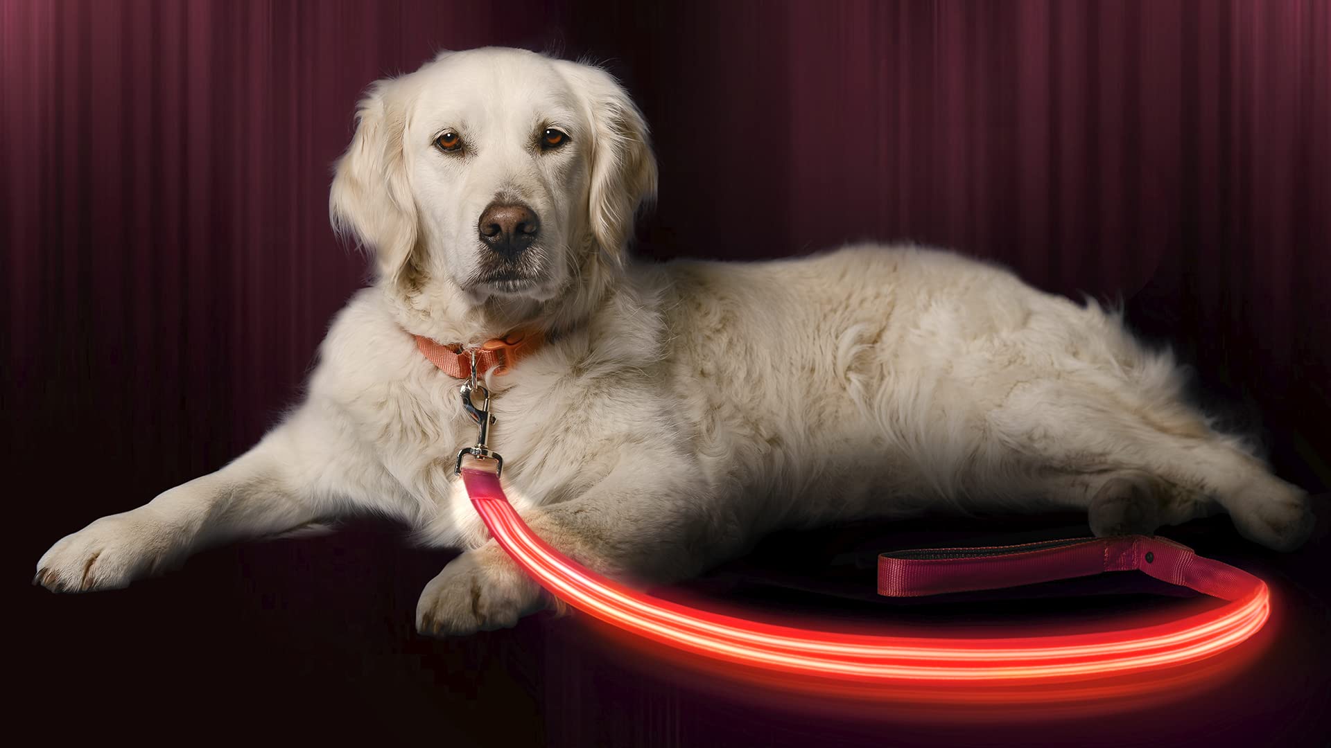 Illumiseen Led Light Up Dog Leash  Ultra High Visibility Up To 350 Yards  3 Lighting Modes  Usb Rechargeable, No Batteries Neede
