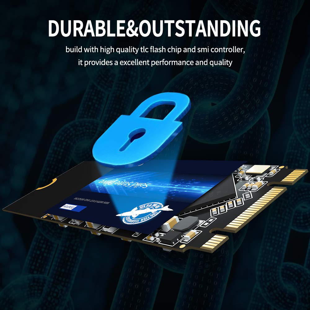 Ssd M.2 2260 1Tb Dogfish Ngff Internal Solid State Drive High Performance Hard Drive For Desktop Laptop Sata Iii 6Gb/S Includes