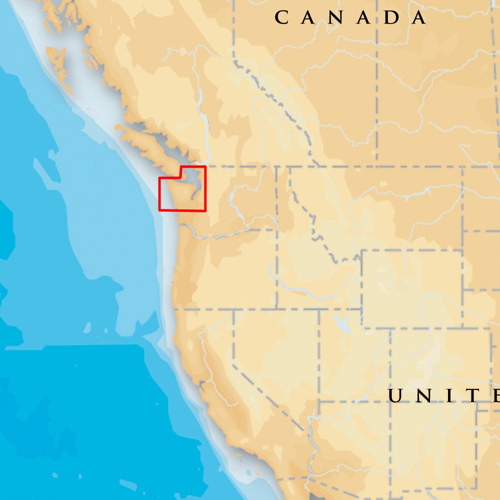 Navionics Platinum Plus   Puget Sound   Microsd/Sd