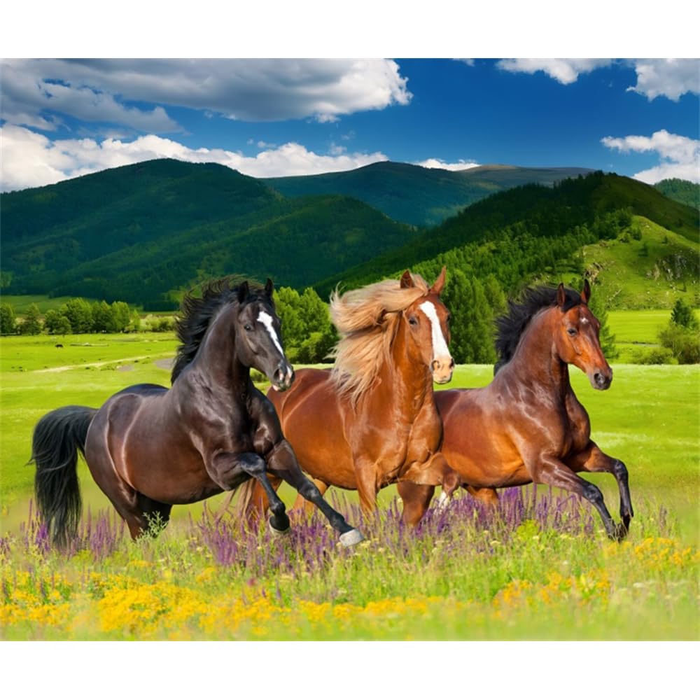 Horse Birthday Party Banner 12X8Ft Fabric Horse Party Decorations Cowboy Cowgirl Events Decor Wild West Events Baby Shower Backd