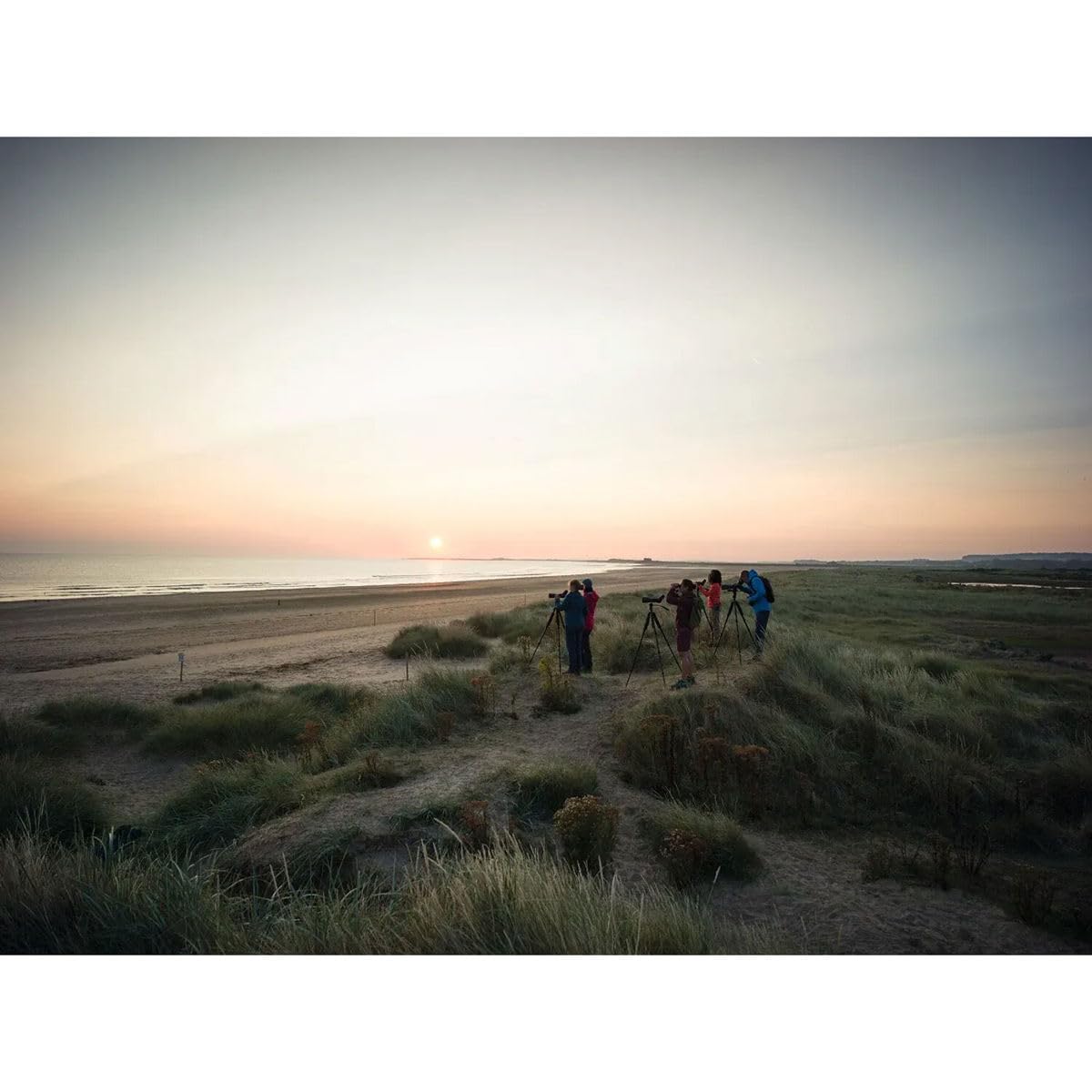 Swarovski Optik 10X 42 El Binocular With 2021 Fieldpro Package, High Transmission Optics, And Weather Sealed Housing (Green)