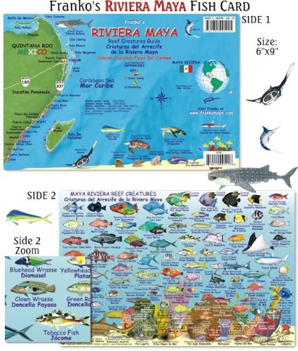 Franko Maps Riviera Maya Reef Creatures Fish Id For Scuba Divers And Snorkelers