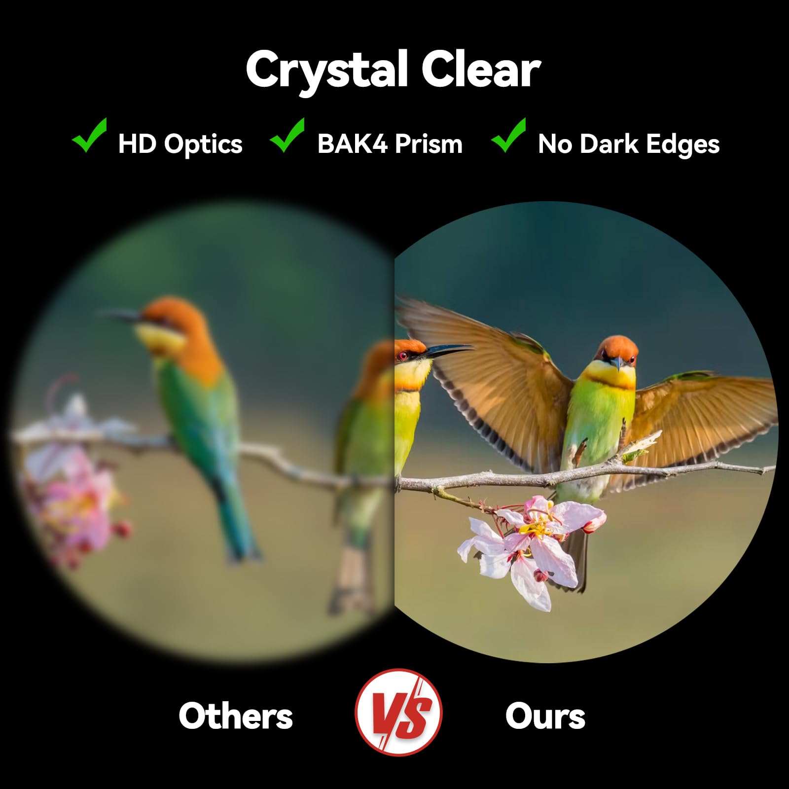 Binoculars For Adults High Powered: 12X42 Hd Zoom Binocular For Bird Watching Hunting   Powerful Lightweight Waterproof Binocula