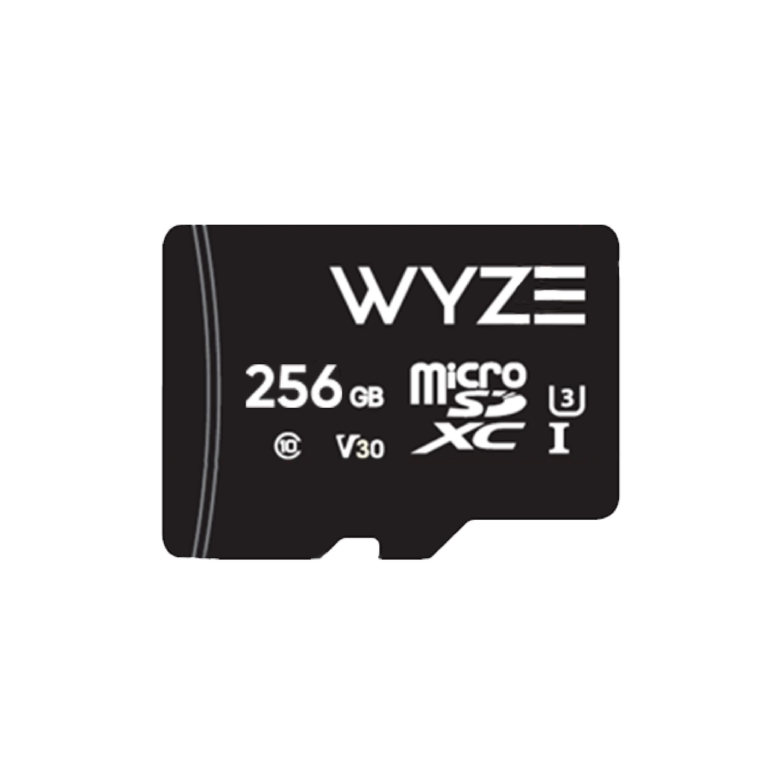 Wyze Expandable Storage 256Gb Microsdxc Card Class 10, Black