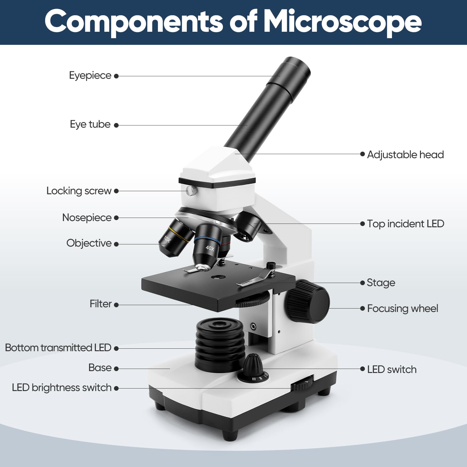 Microscope For Adults Kids, Dcorn 100X 2000X Powerful Biological Microscopes For School, Home, And Lab Use, Includes Microscope